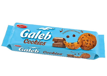 Galeb cookies 125g Pionir